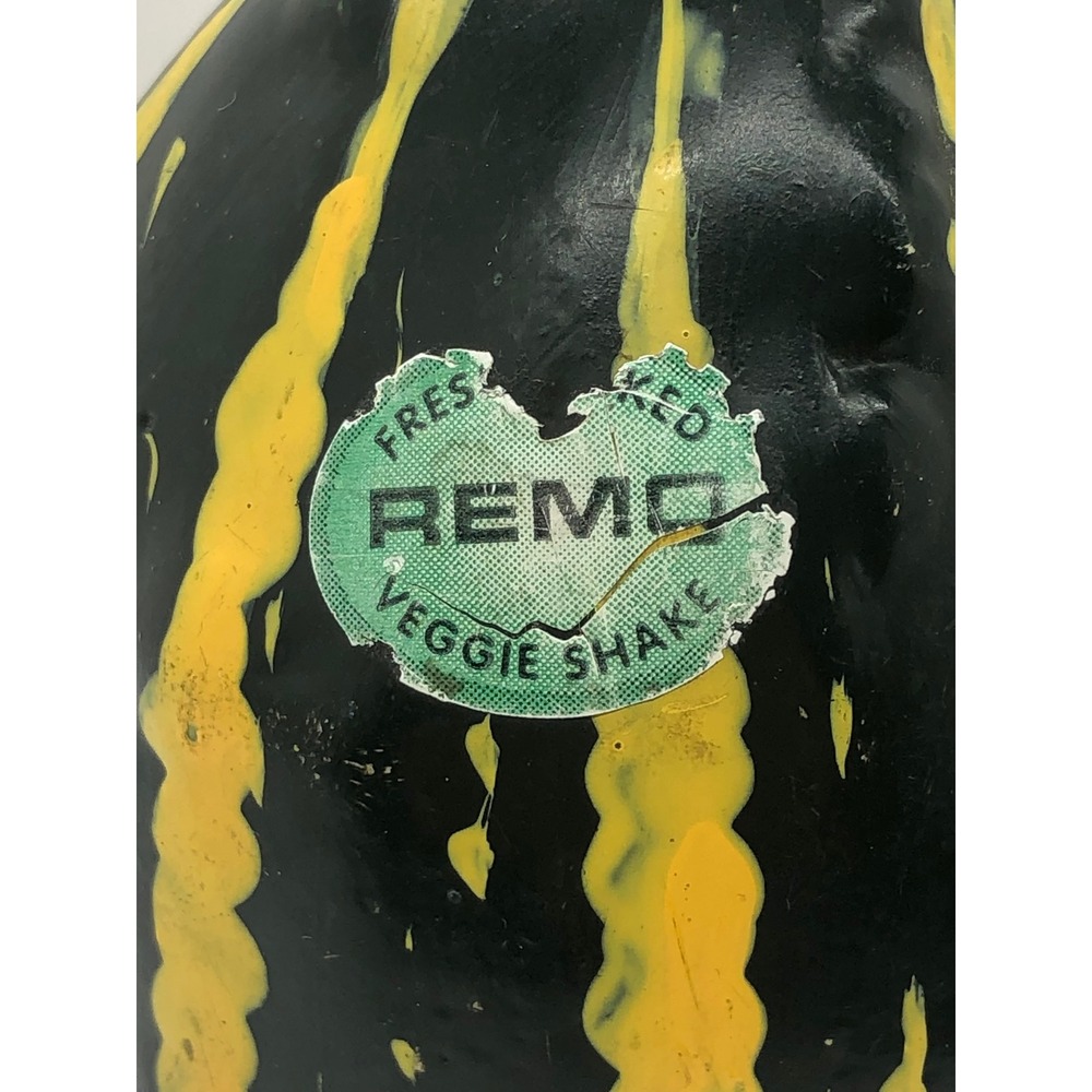 Remo Veggie Shake Hand Percussion Gourd Style Shaker Green Yellow Striped - Picture 3 of 11